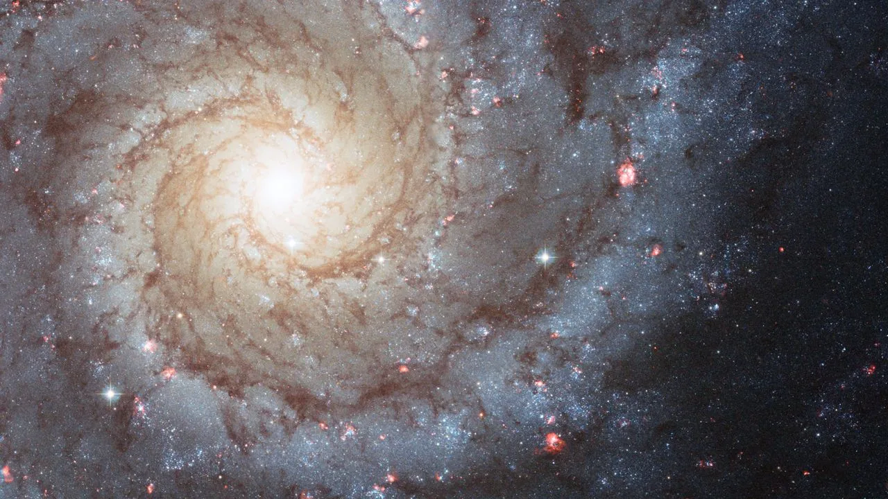 Observation du ciel profond : télescopes, filtres et conseils pour galaxies et nébuleuses