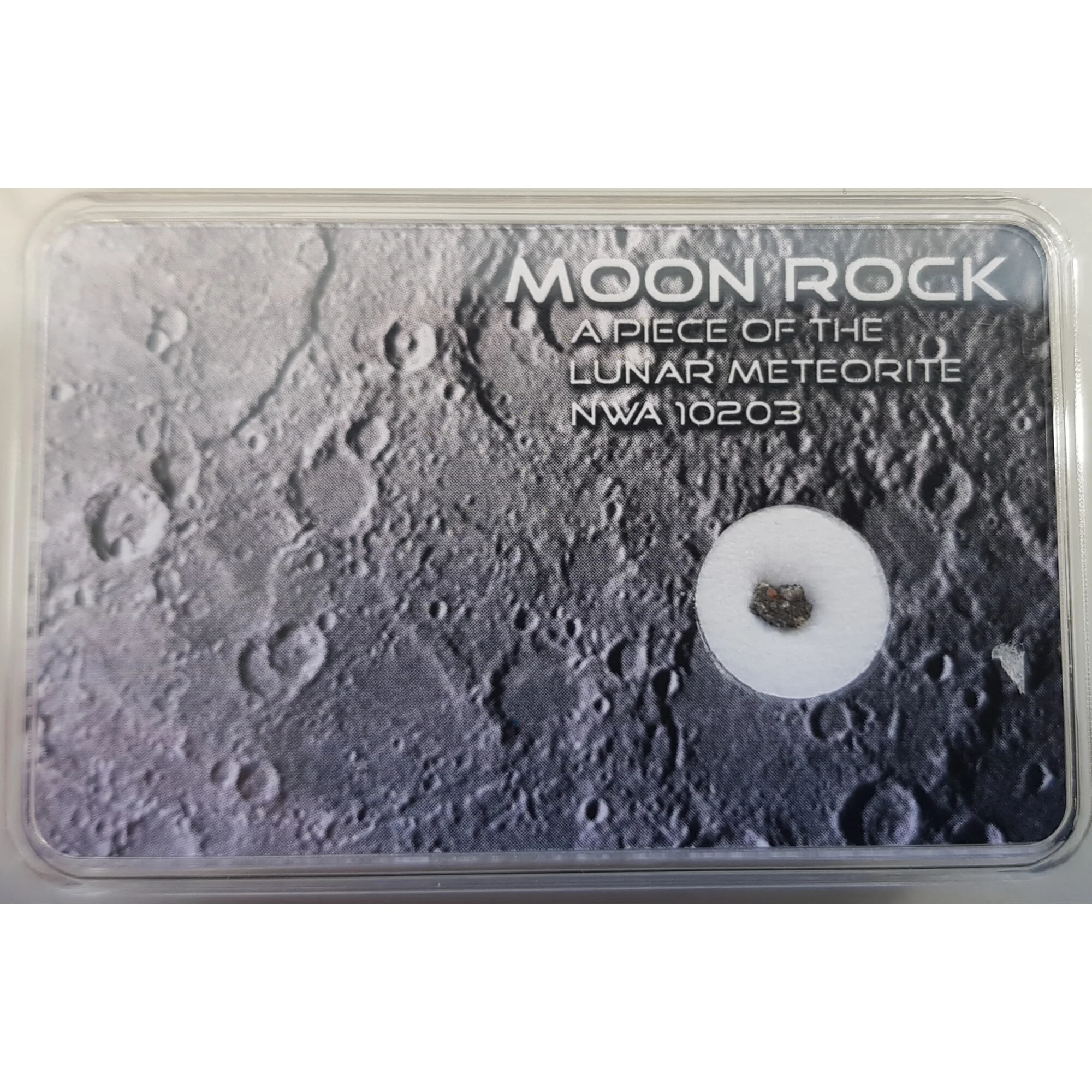 Véritable Lune Météorite NWA10203