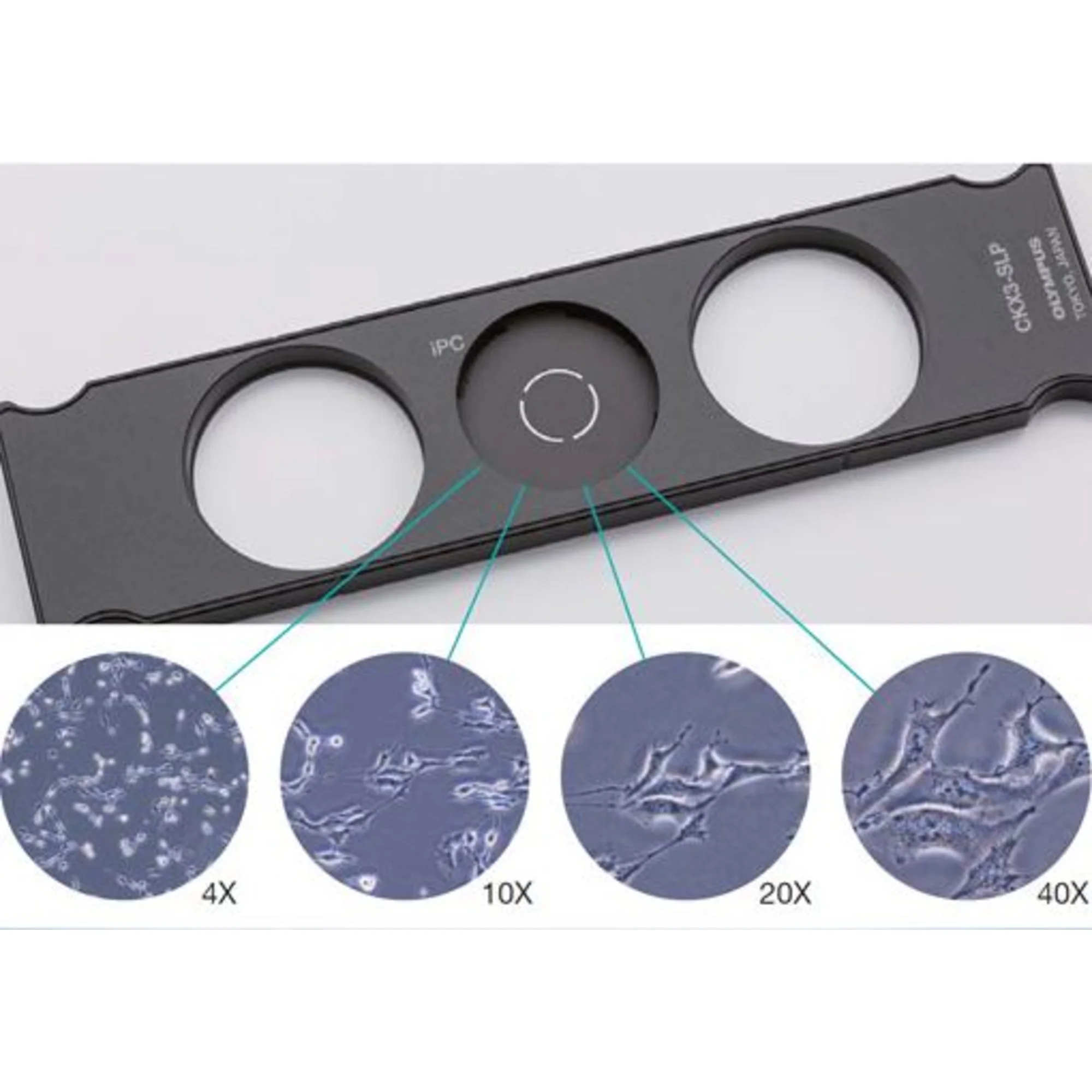 Iroir de condenseur CKX3-SLP pour CKX53