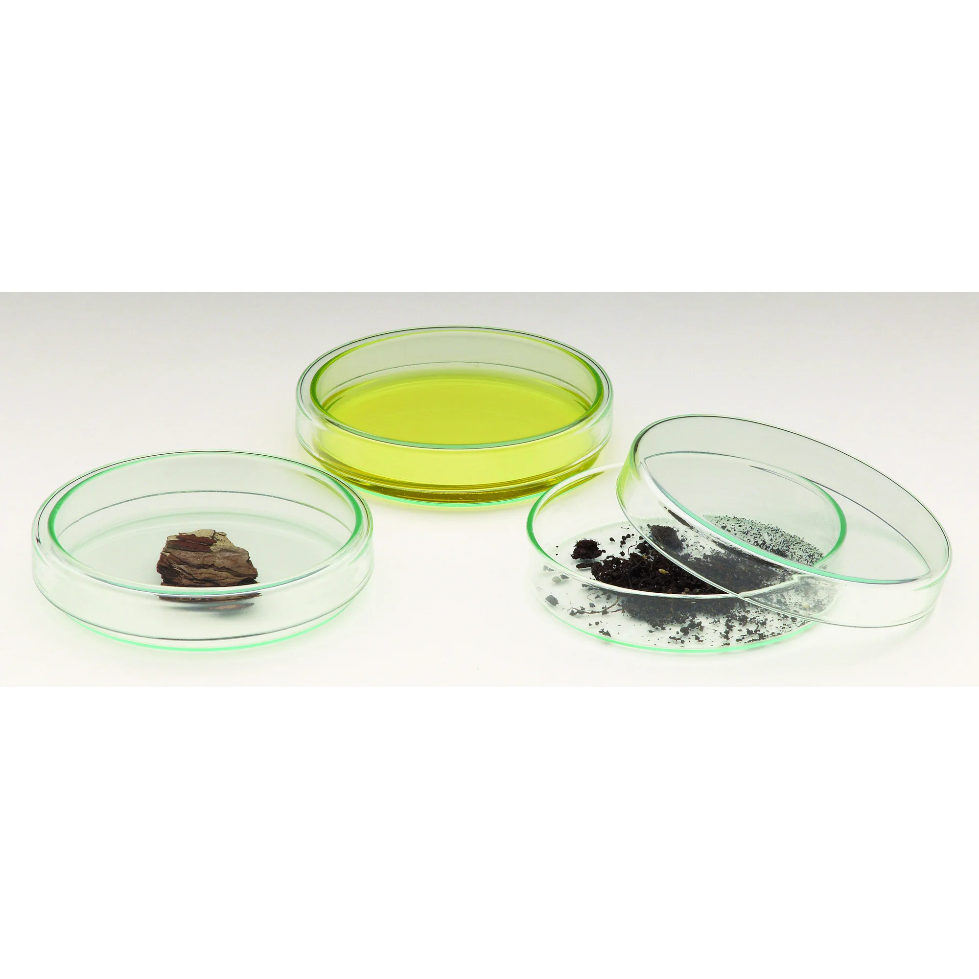 Boîte de Pétri 100 mm, verre avec couvercle