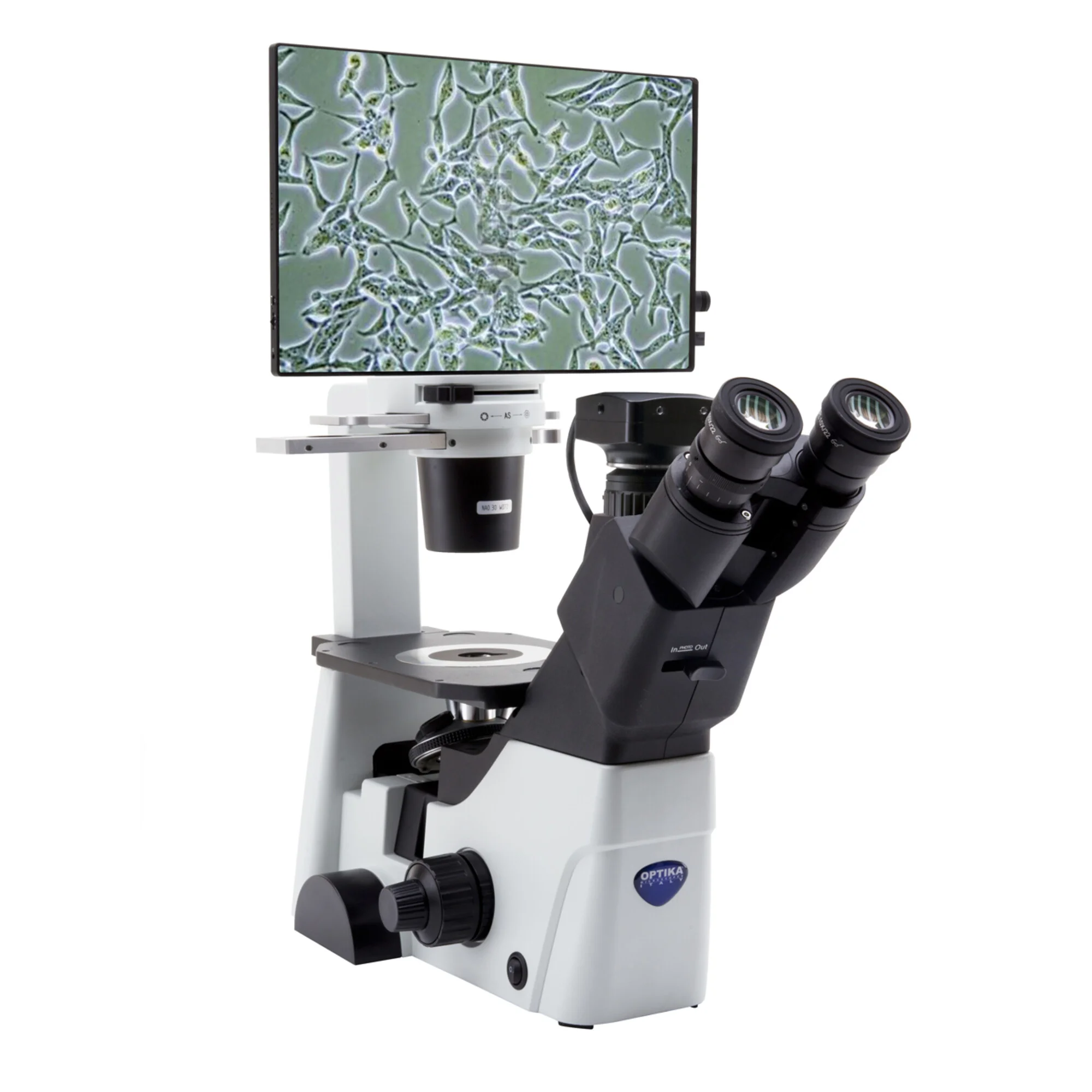 Microscope  IM-300D, numérique, PH, 100-400x, IOS LWD W-PLAN PH, N.A. 0,3, X-LED, 6 MP, 15,6" 4K
