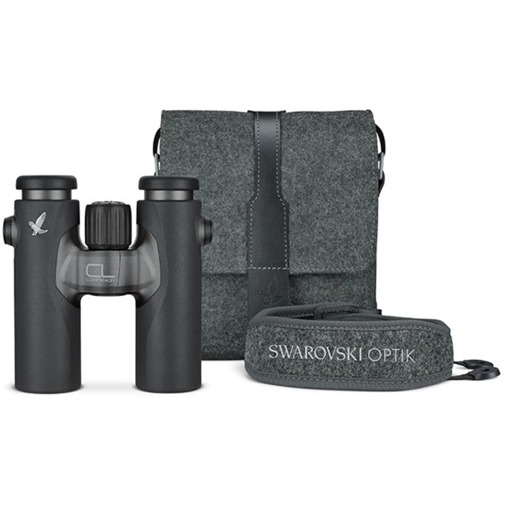 Jumelles  CL Companion 8x30 anthracite NORTHERN LIGHTS