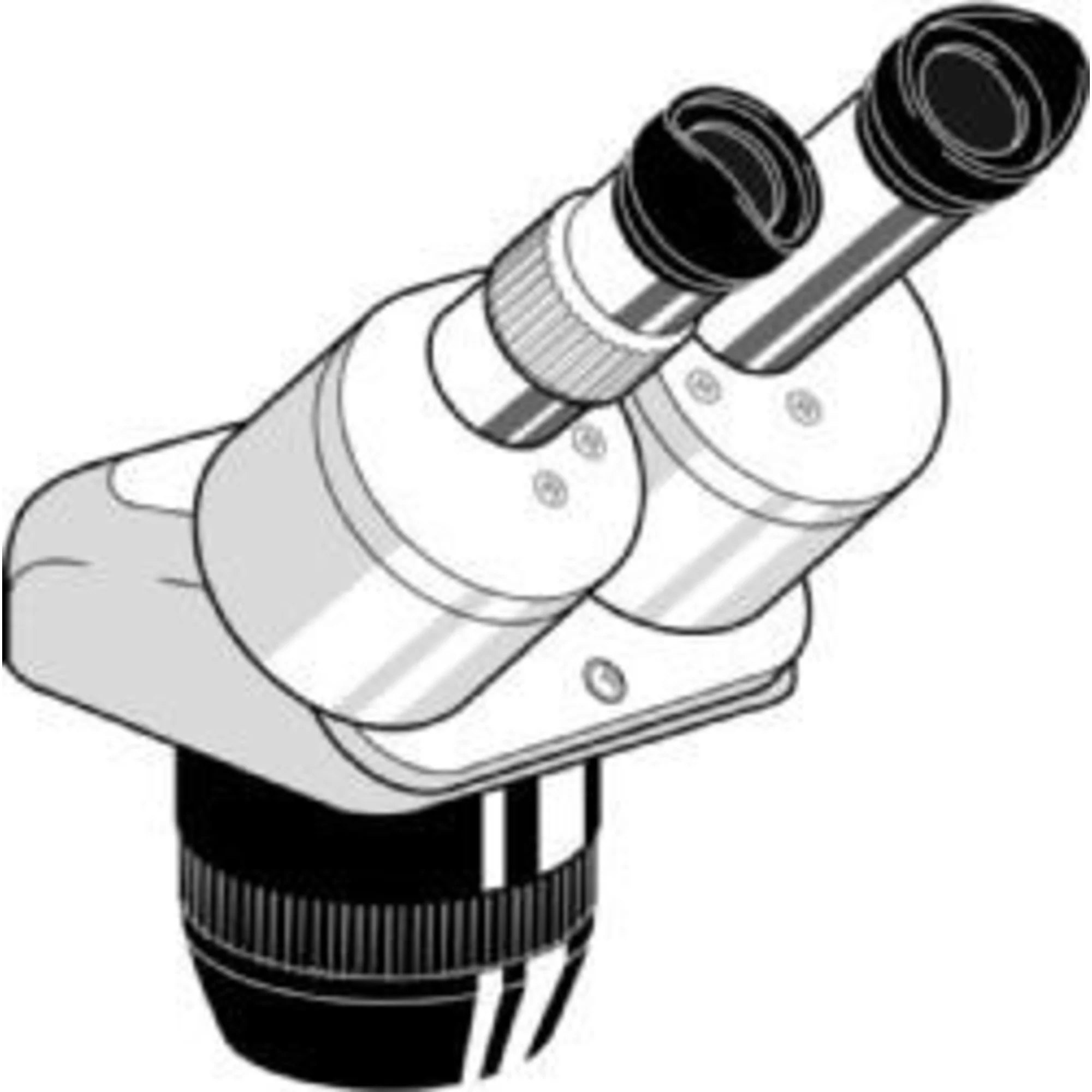 Microscope stéréo zoom  Tête stéreo EE.1522, binoculaire