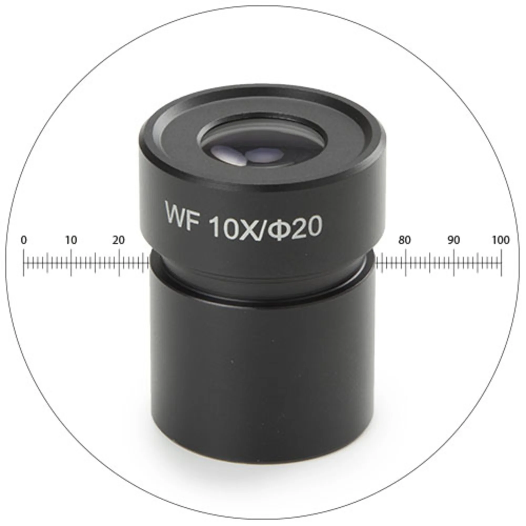 Oculaire grand champ 50.811, WF 10x, avec micromètre