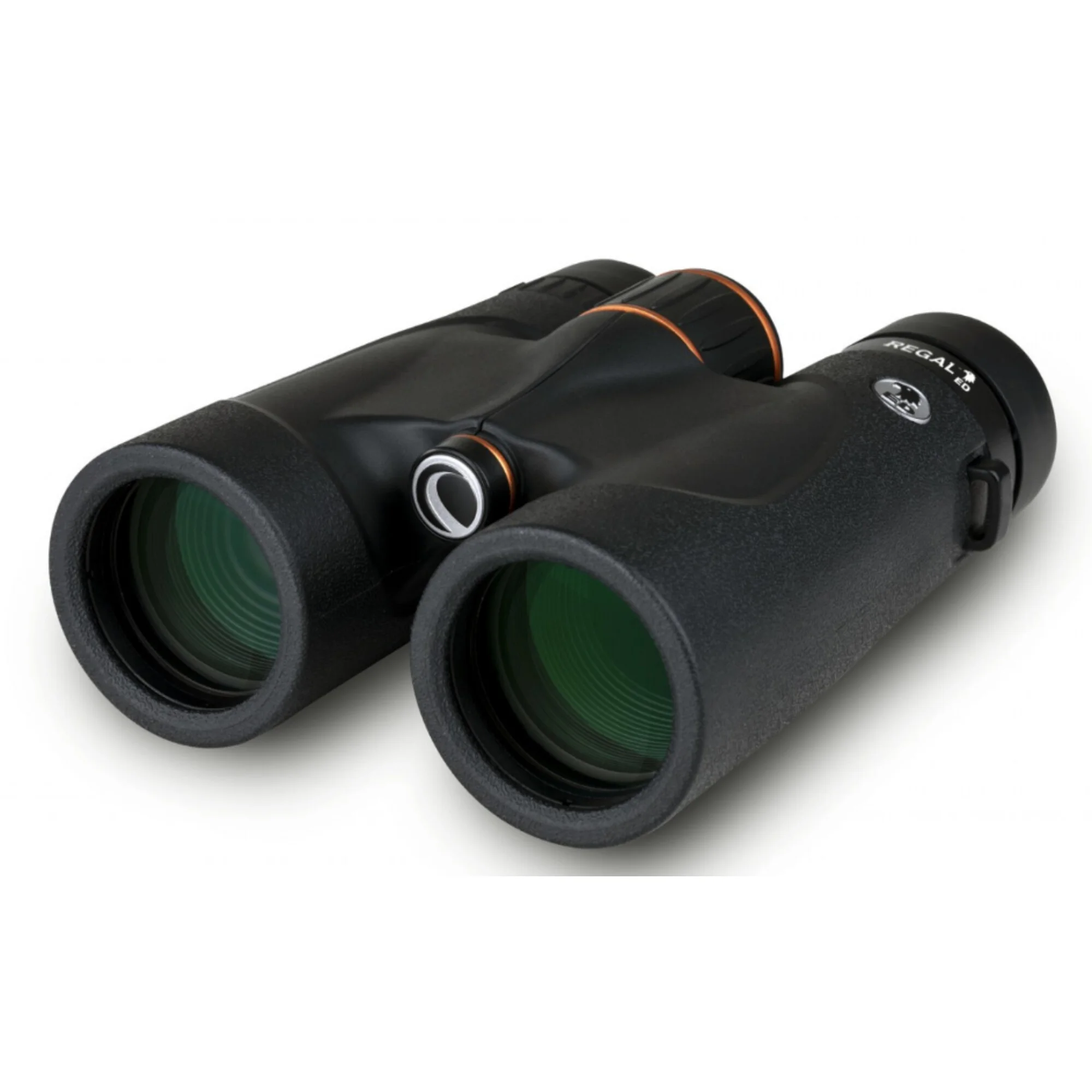 Jumelles  Regal ED 8X42
