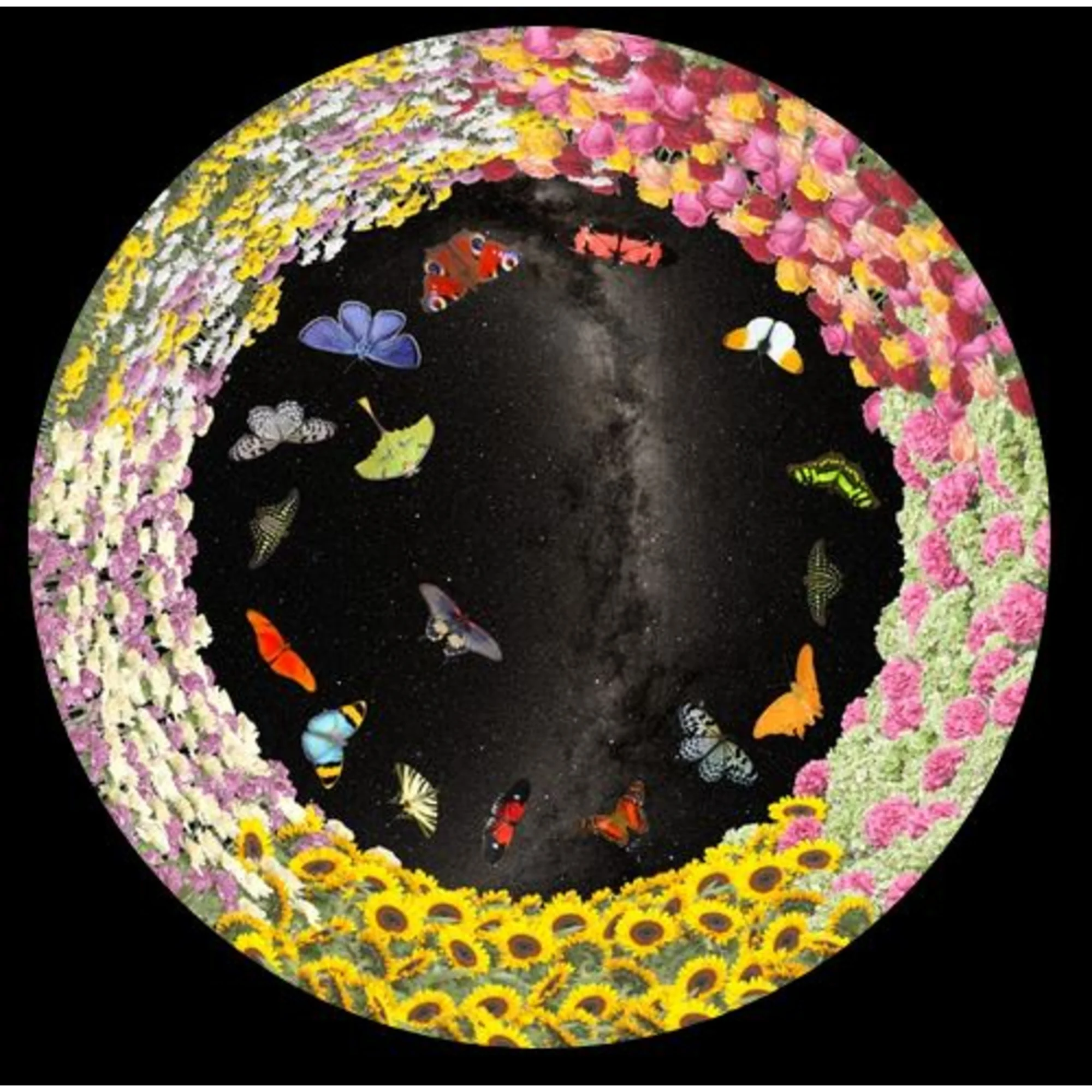 Diapositive pour le Planetarium Homestar de Sega Fleurs et papillons