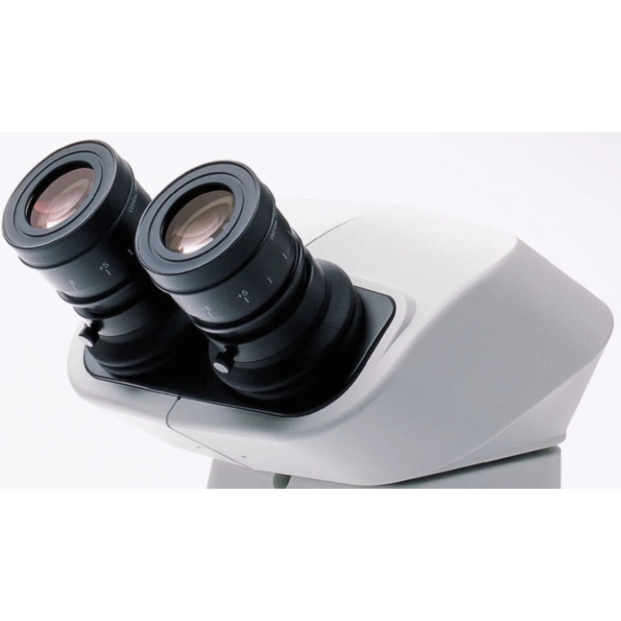 Tête binoculaire SZX-BI30