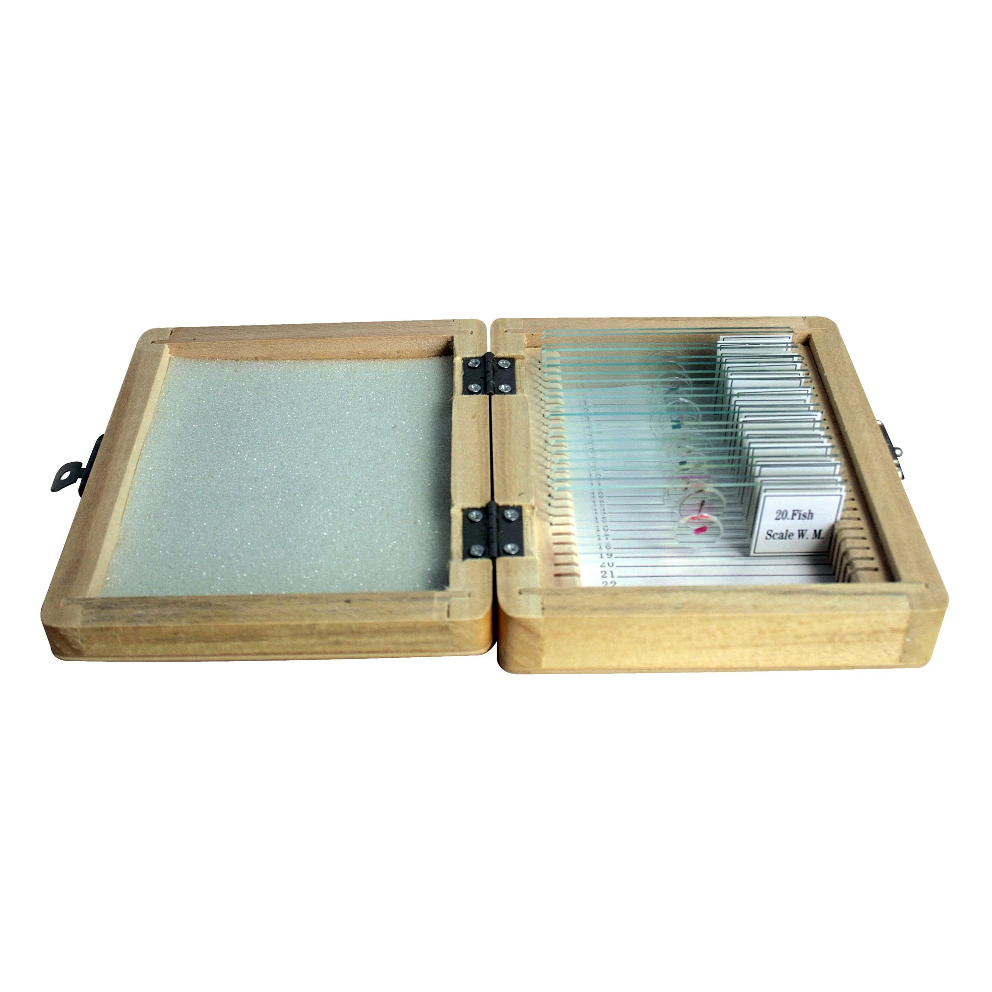 - Coffret en bois avec 20 lames préparées