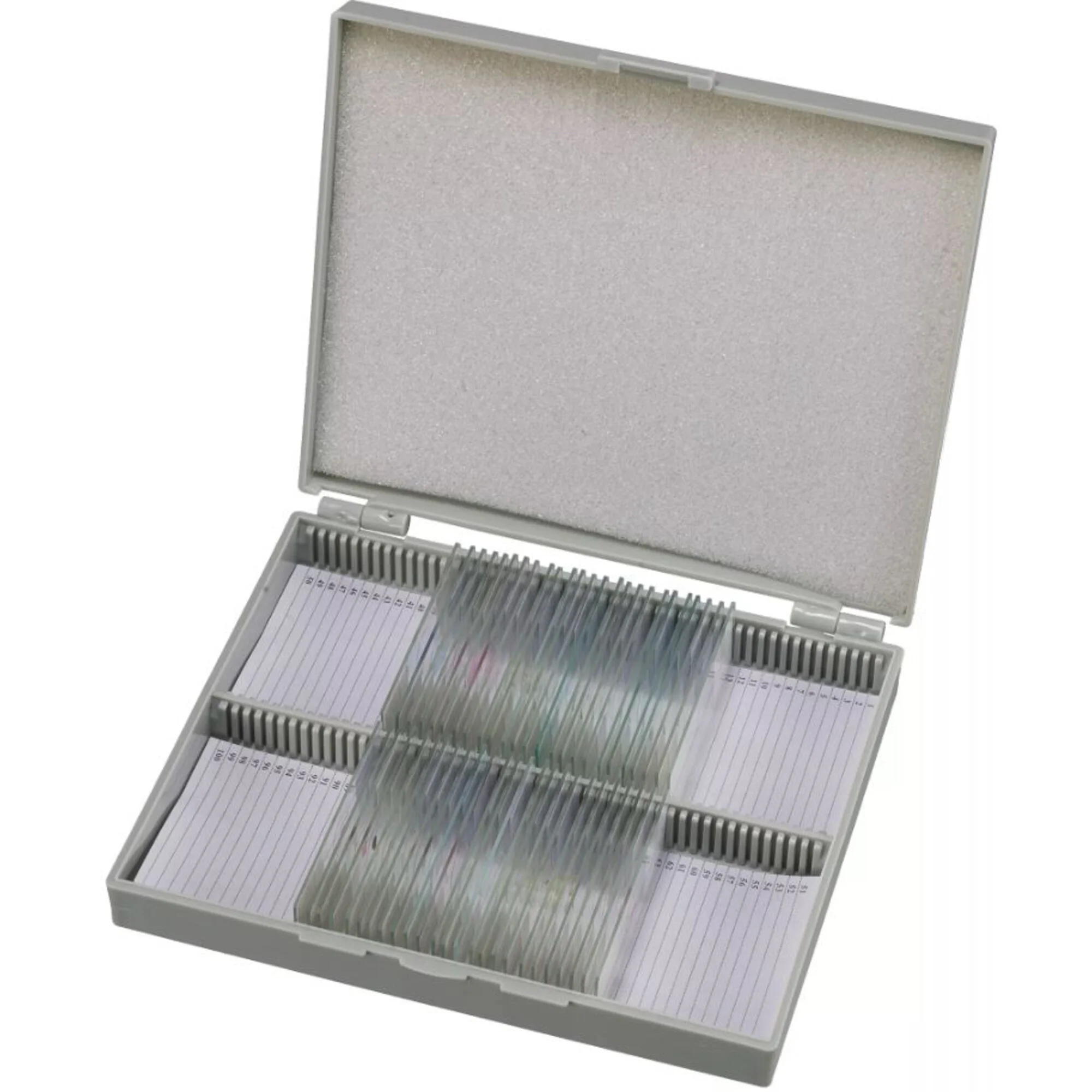 30 préparations permanentes (d'animal), coffret bois