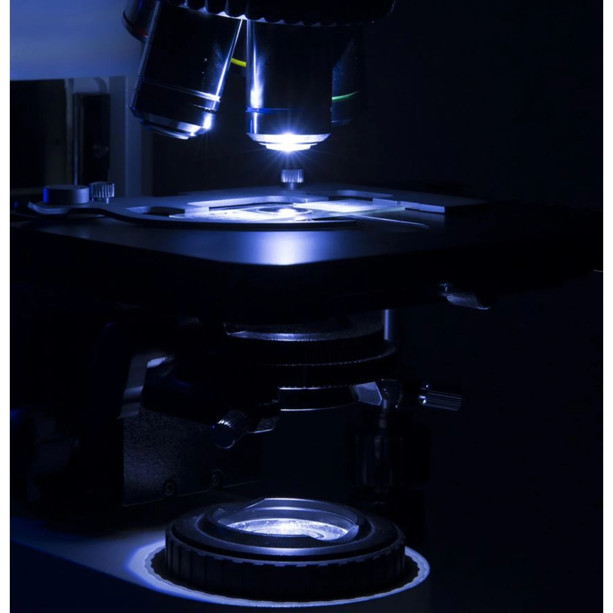 Microscope  B-1000BF, fond clair (sans objectif), trinoculaire