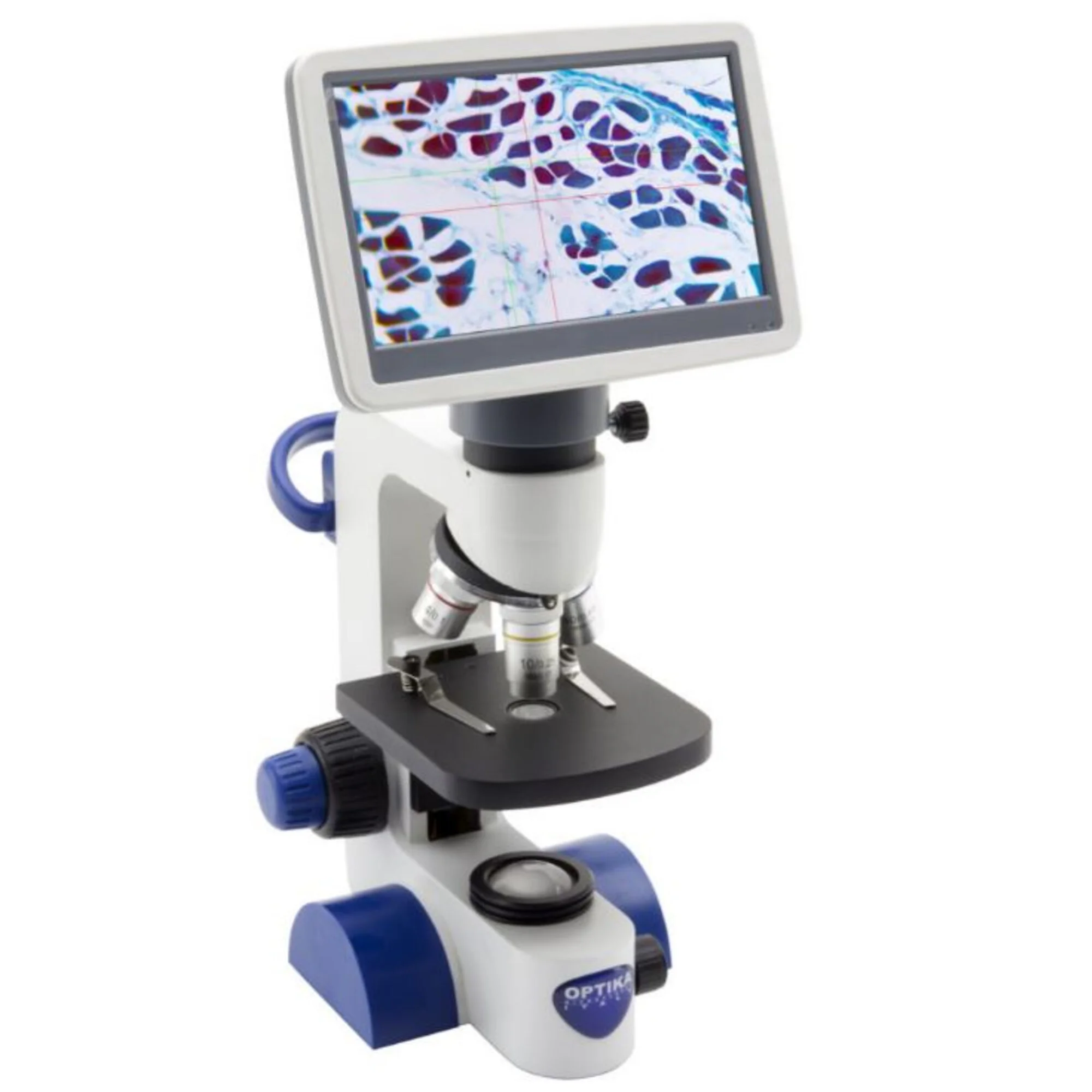 Microscope  B-61V, écran, 7 pouces, DIN, achro, 40-400x, LED, 1W