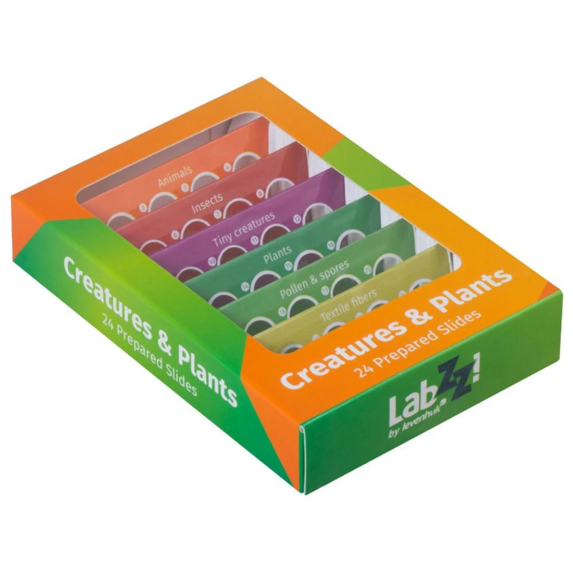 Kit de préparations permanentes CP24