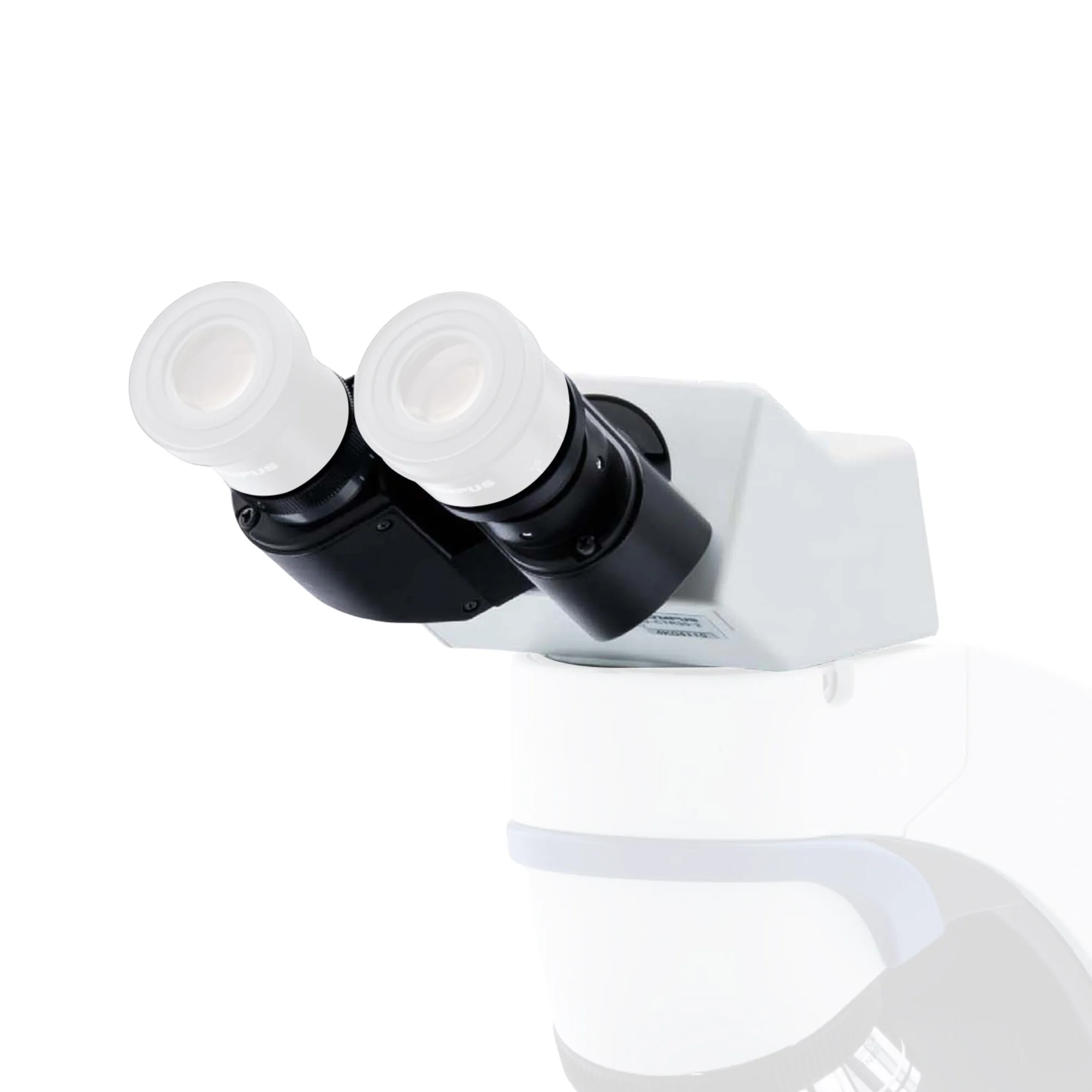 Tête stéréo U-CBI30-2-2, tube binoculaire pour CX41