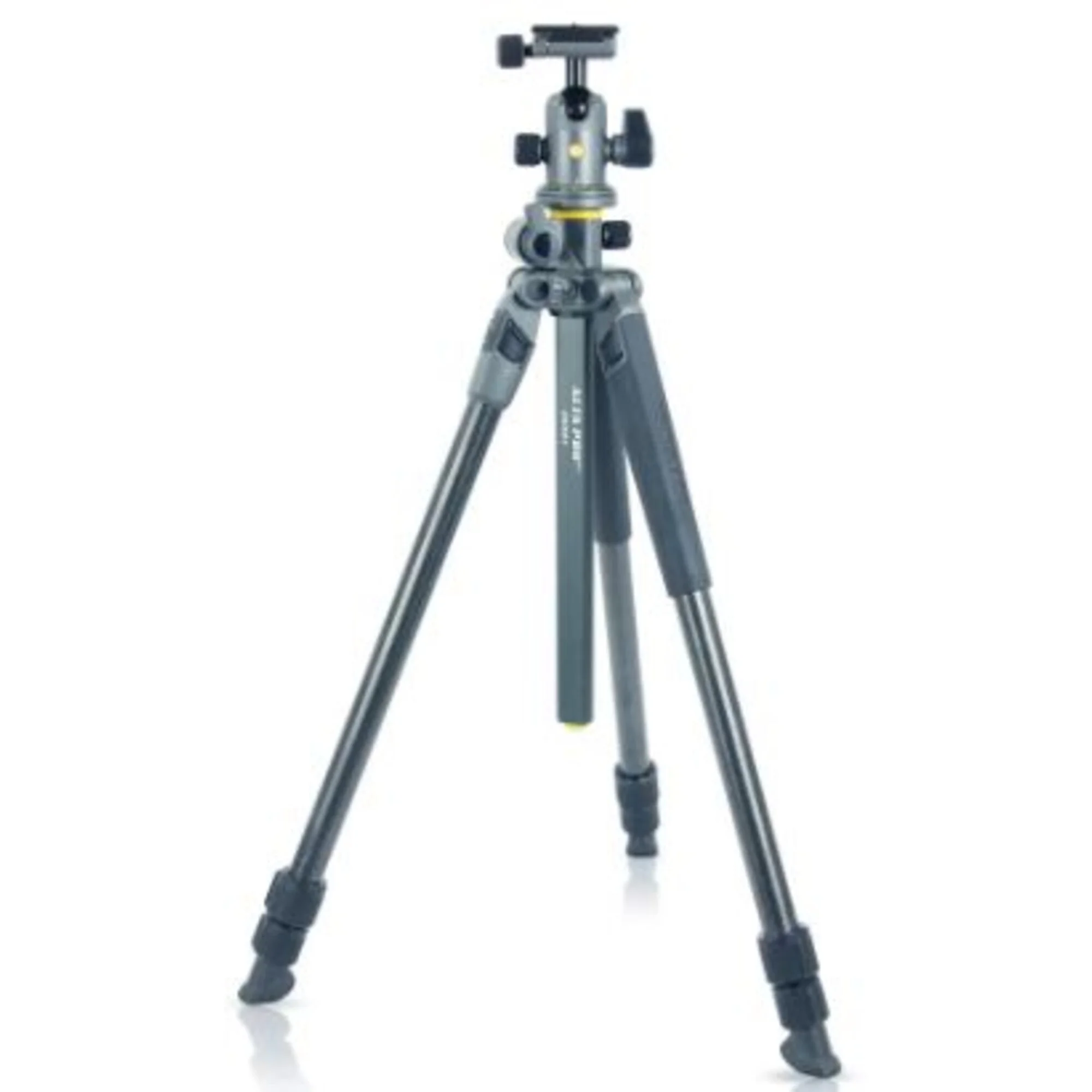 Trépied en carbone  Alta Pro 2+ 263CB 100
