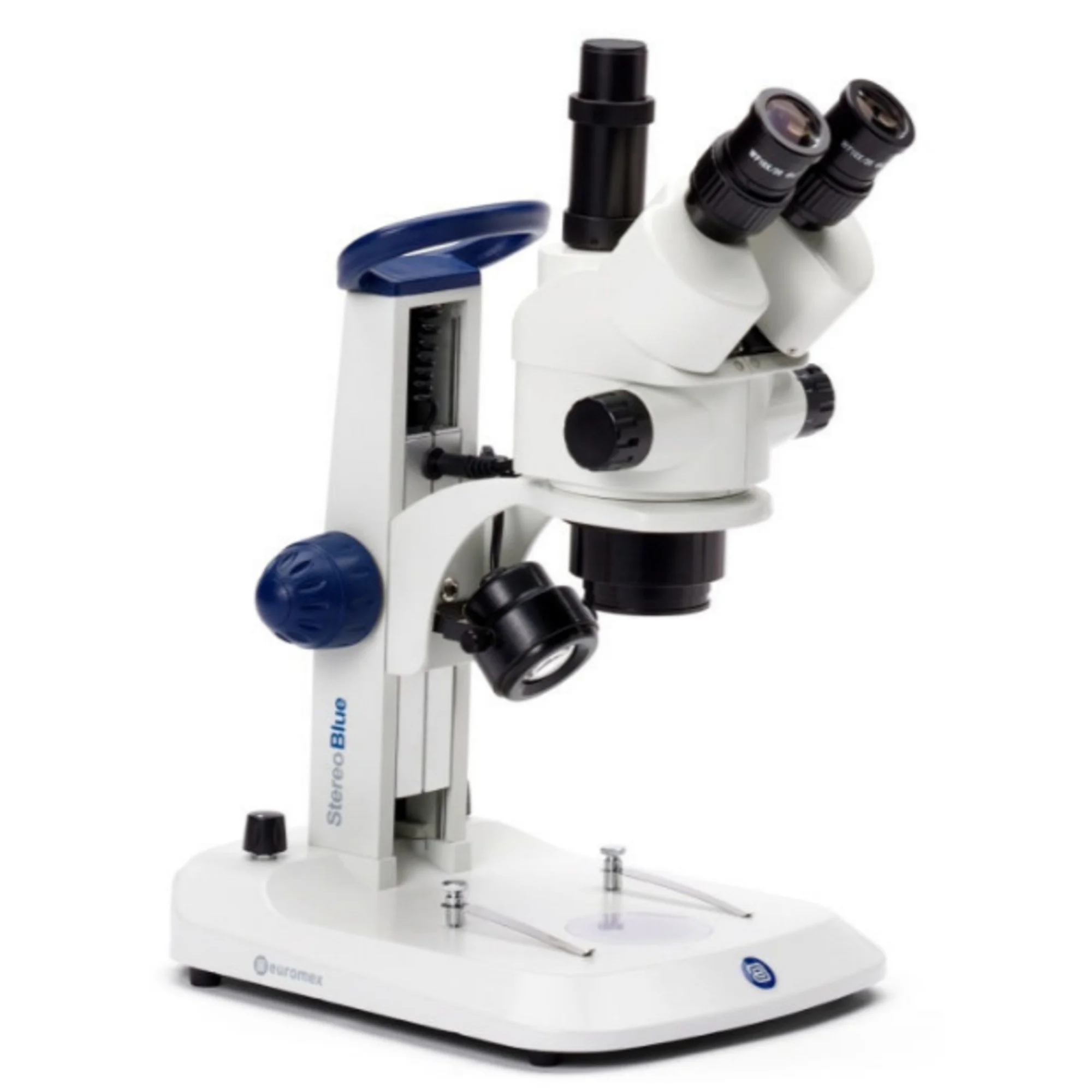 StereoBlue SB.1903, trino, zoom