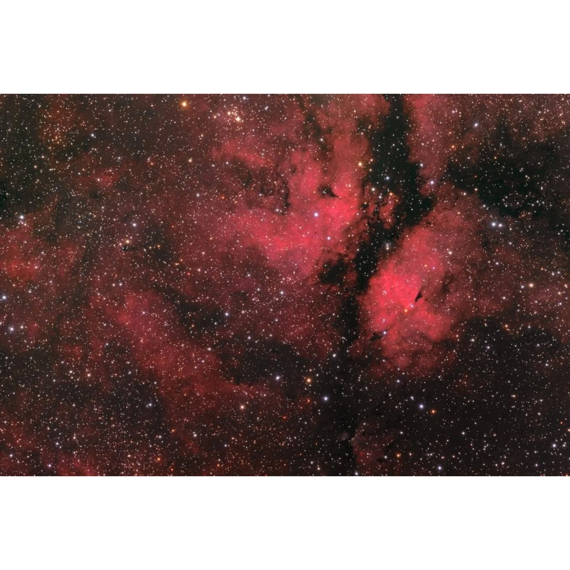 Affiche  Sadr Region ou IC 1318 45 cm x 30 cm