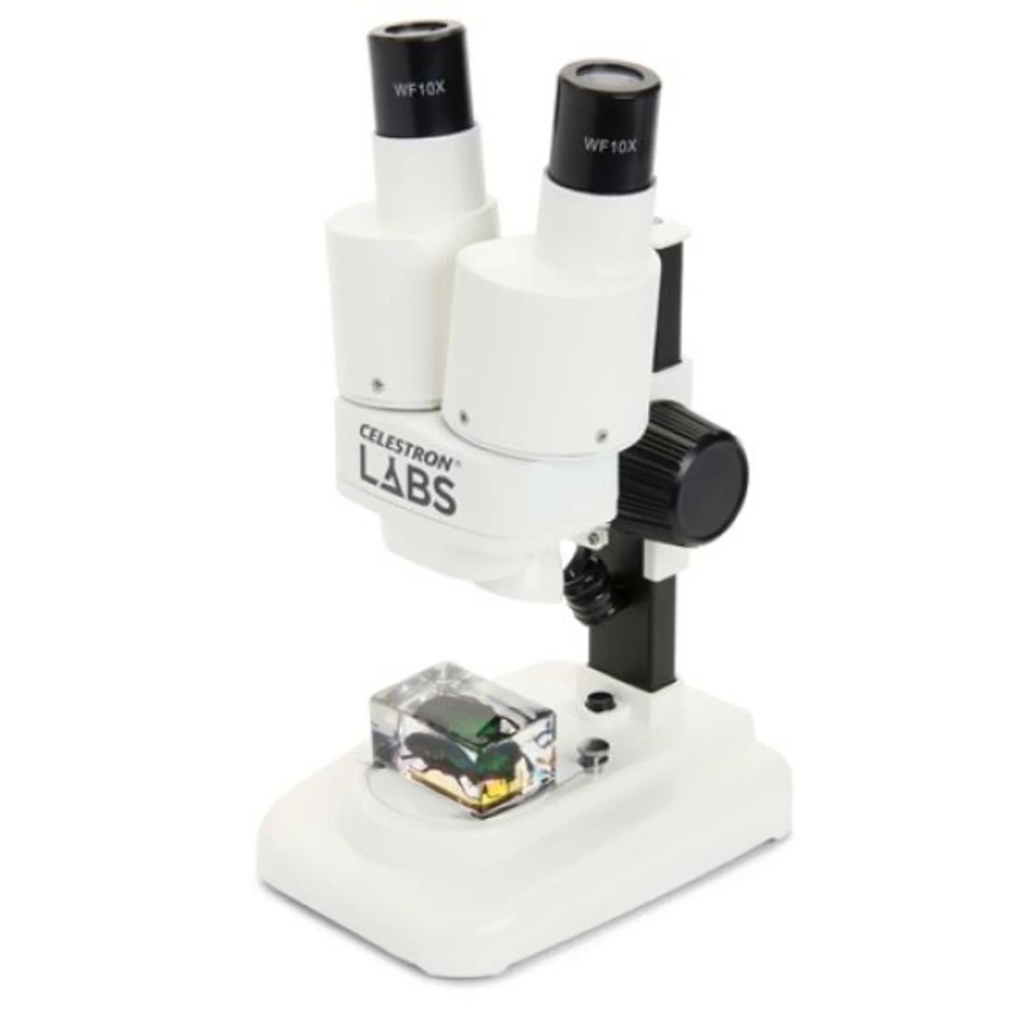 Microscope stéréoscopique  LABS S20, 20x LED,