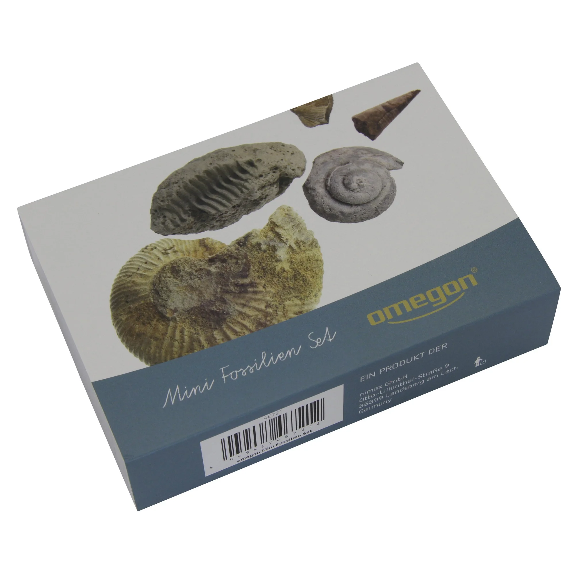 Kit Mini fossiles